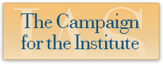 The Campaign for the Institute The Campaign for the Institute