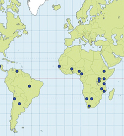 A map showing the location of SIG activities in Africa and South America since 1998