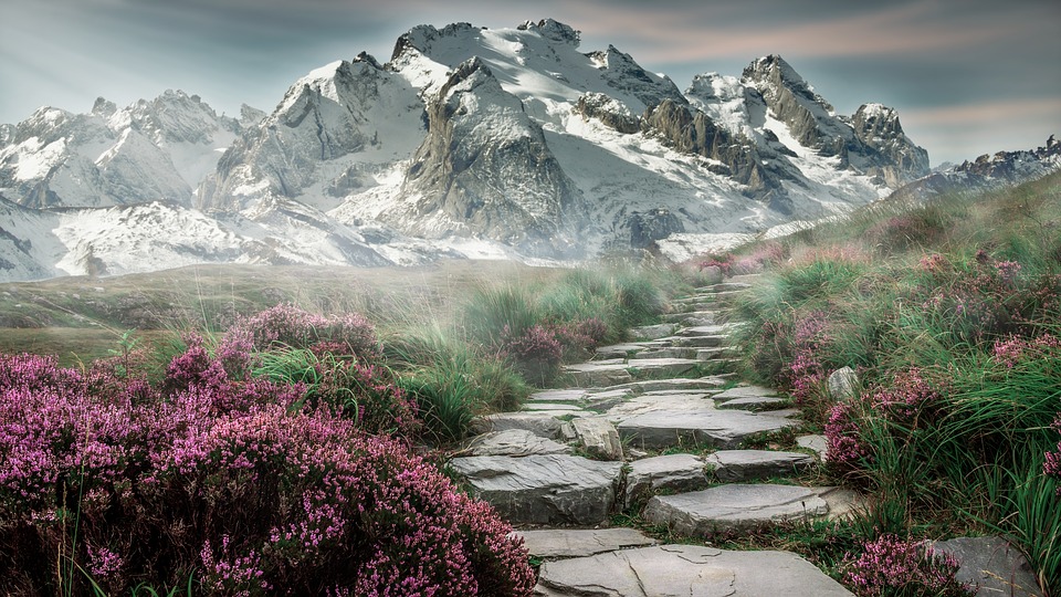 A rocky path leading to snowy mountains.