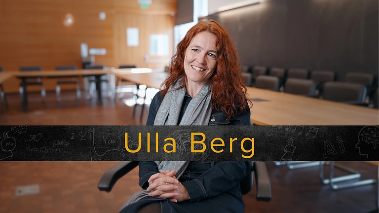 Berg Instances