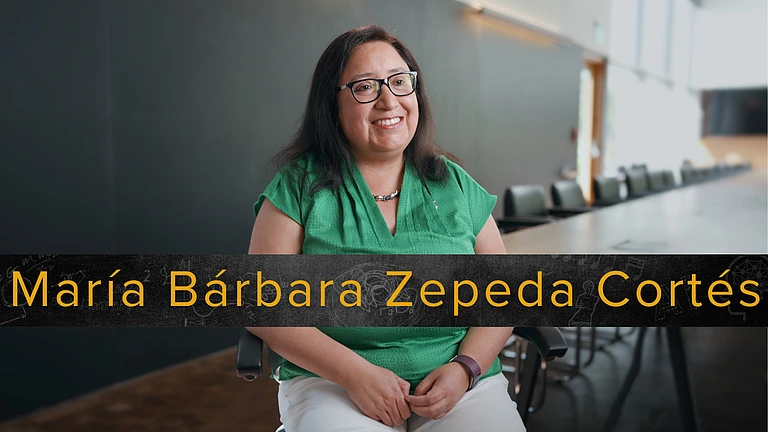 Zepeda Cortés Instances