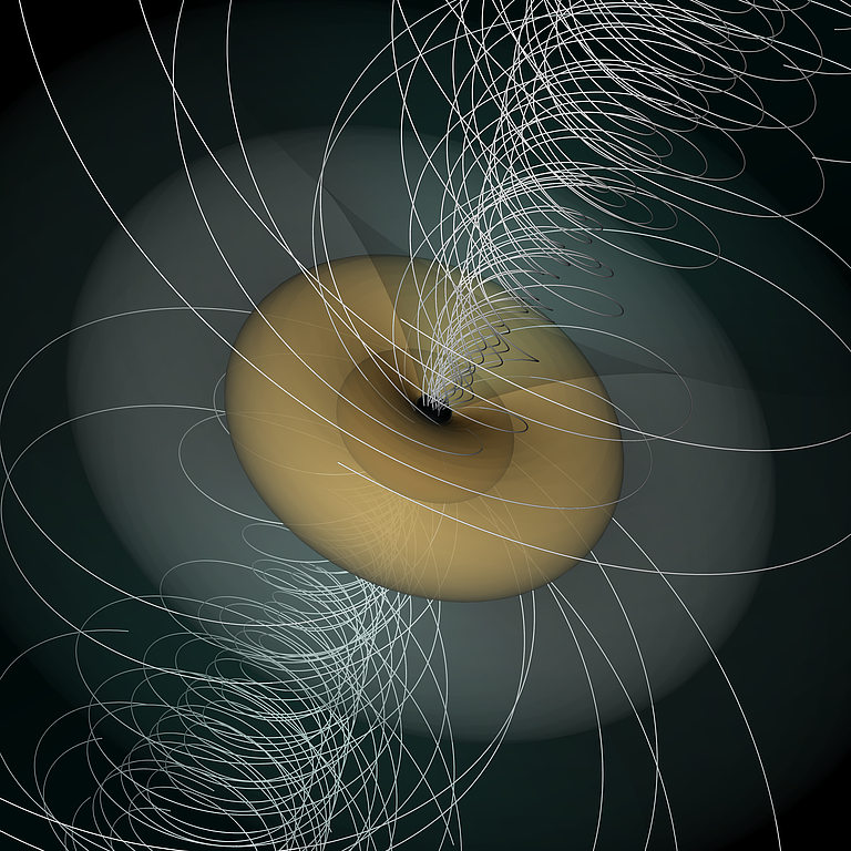 Rotating Black Hole Magnetic Field