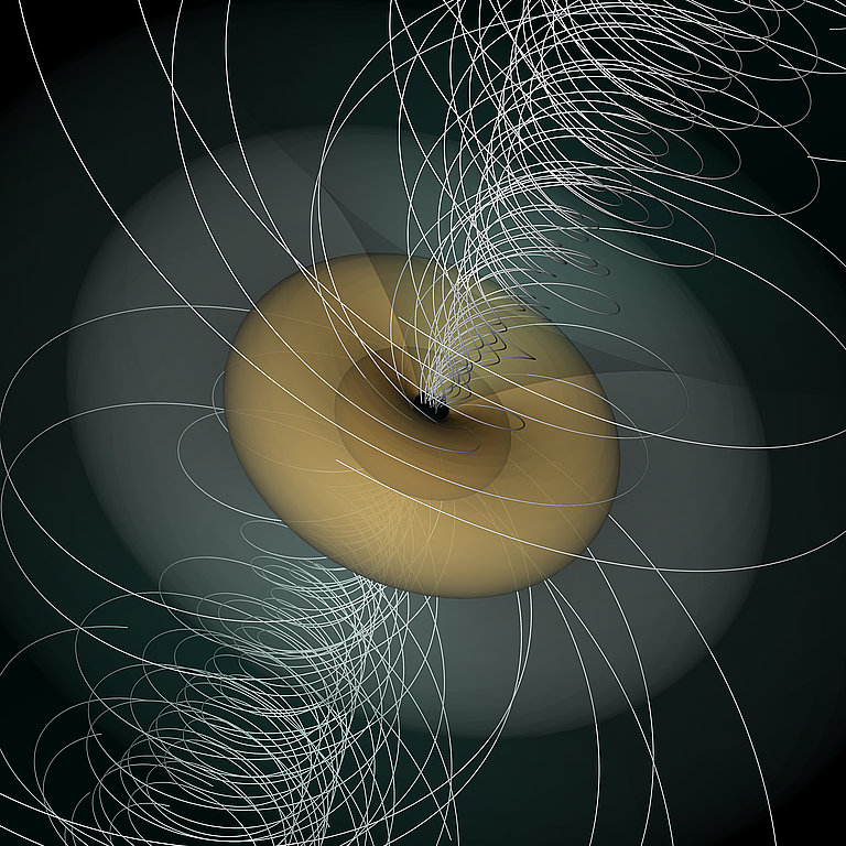 Rotating Black Hole Magnetic Field