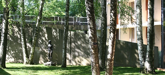 IAS Birch Garden view