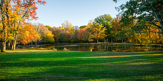 The IAS pond in autumn with the grass in front of the water and the foliage behind it.