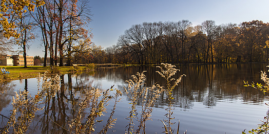 campus fall lake