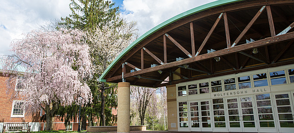 Wolfensohn Hall IAS