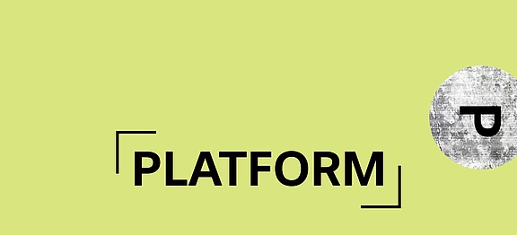 STSV Lab PLATFORM Header