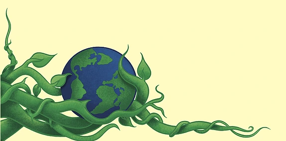 Climate crisis politics