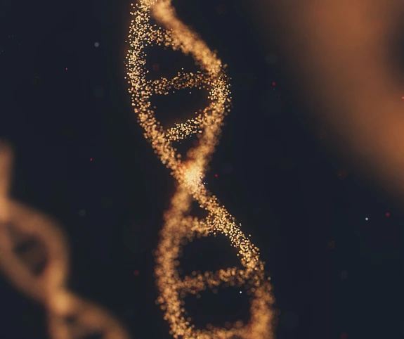 DNA in the Dock