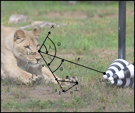 Frost Duporge Lions