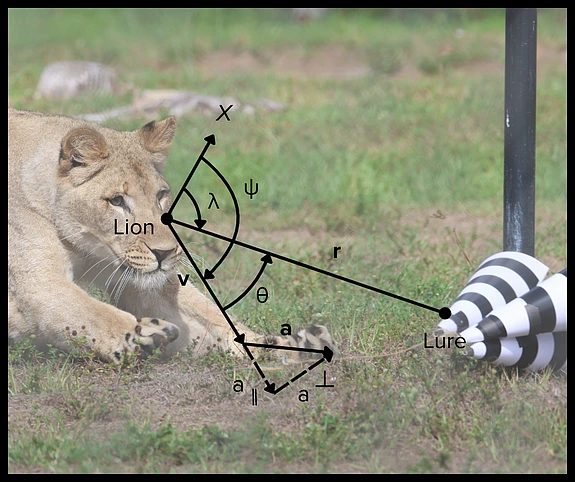 Frost Duporge Lions