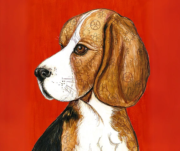 Atomic Beagles Brad Bolman