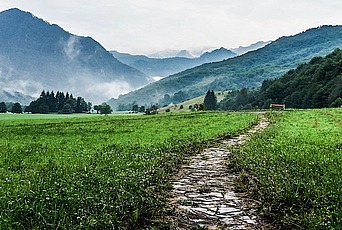 A path through a meadow with misty mountains in the distance