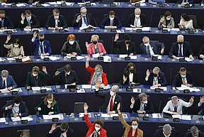 Angelos European Values