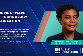 Alondra Nelson CAP Event