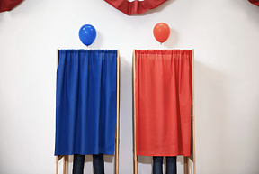 Blue and Red voters