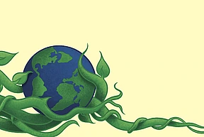 Climate crisis politics