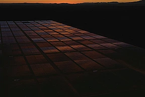 Boomtown, Hillary Angelo