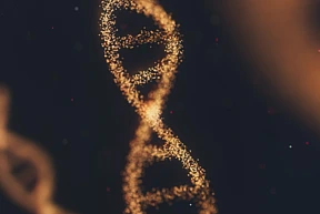 DNA in the Dock
