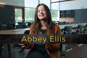 Ellis Instances Final