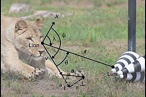 Frost Duporge Lions
