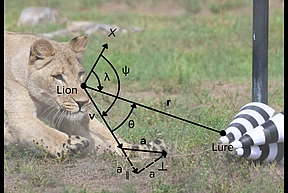 Frost Duporge Lions