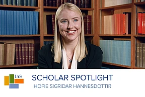 Hofie Spotlight