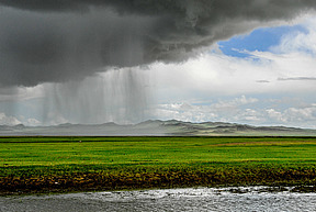 Heavy rain over Mongolia