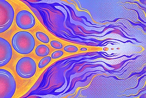 L Functions