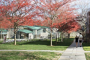 StevenHollArchitects