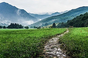 A path through a meadow with misty mountains in the distance