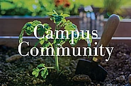 plant sale tile