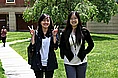 WAM 2011