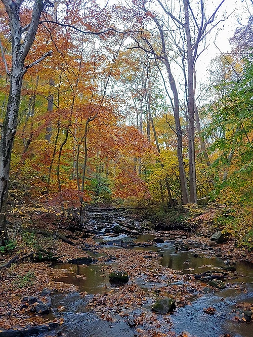 Hacklebarney State Park