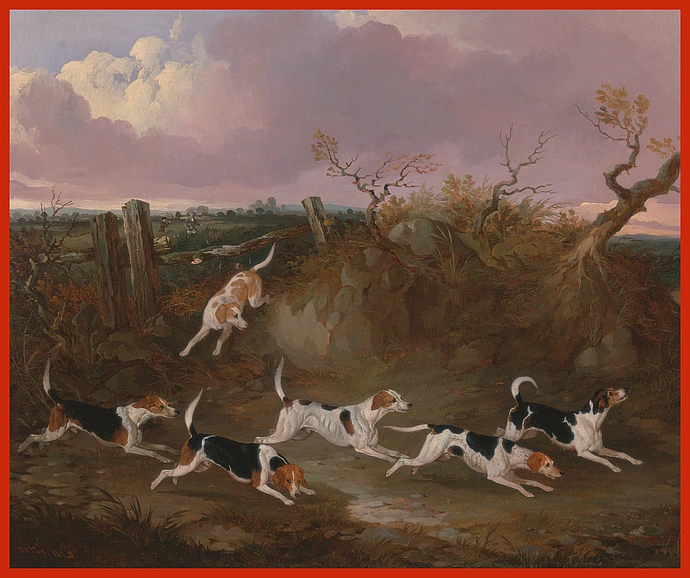 Beagle painting John Dalby