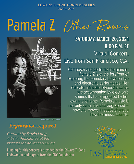 Pamela Z "Other Rooms"