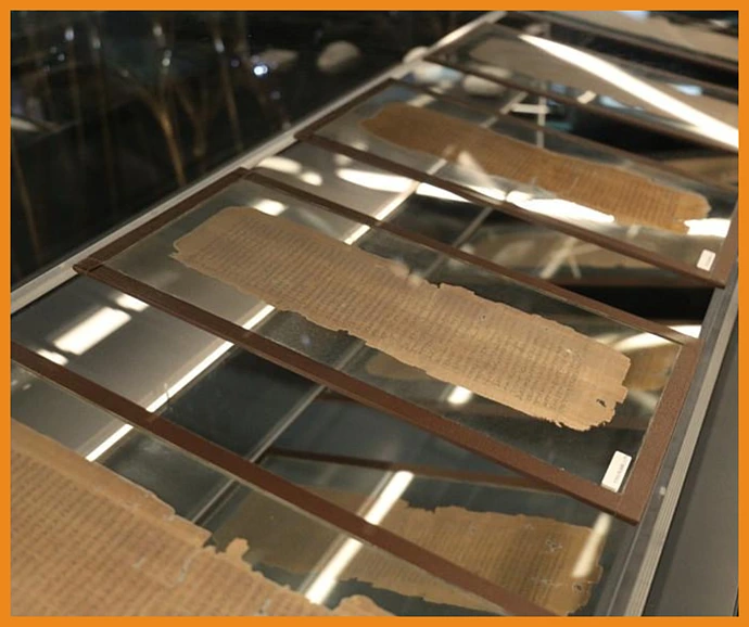 Torallas Tovar papyrus exhibition