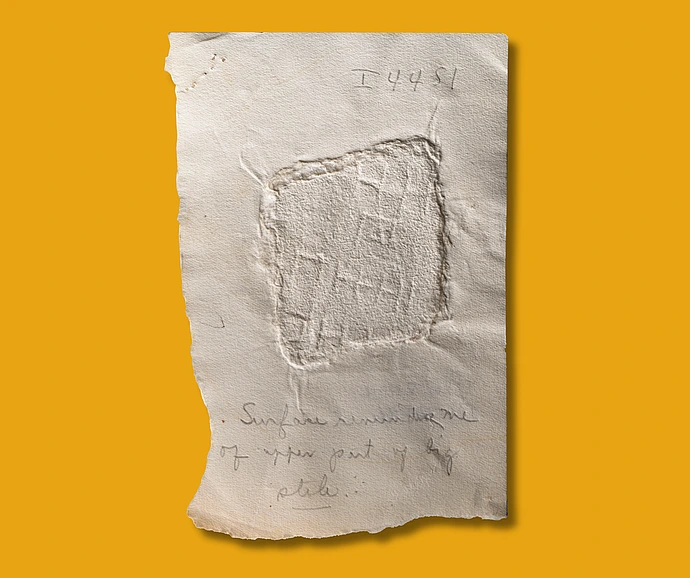 Squeeze collection IAS