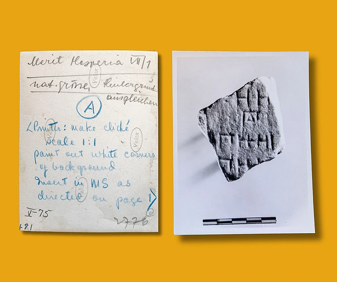 Squeeze collection IAS