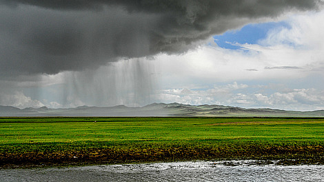 Heavy rain over Mongolia