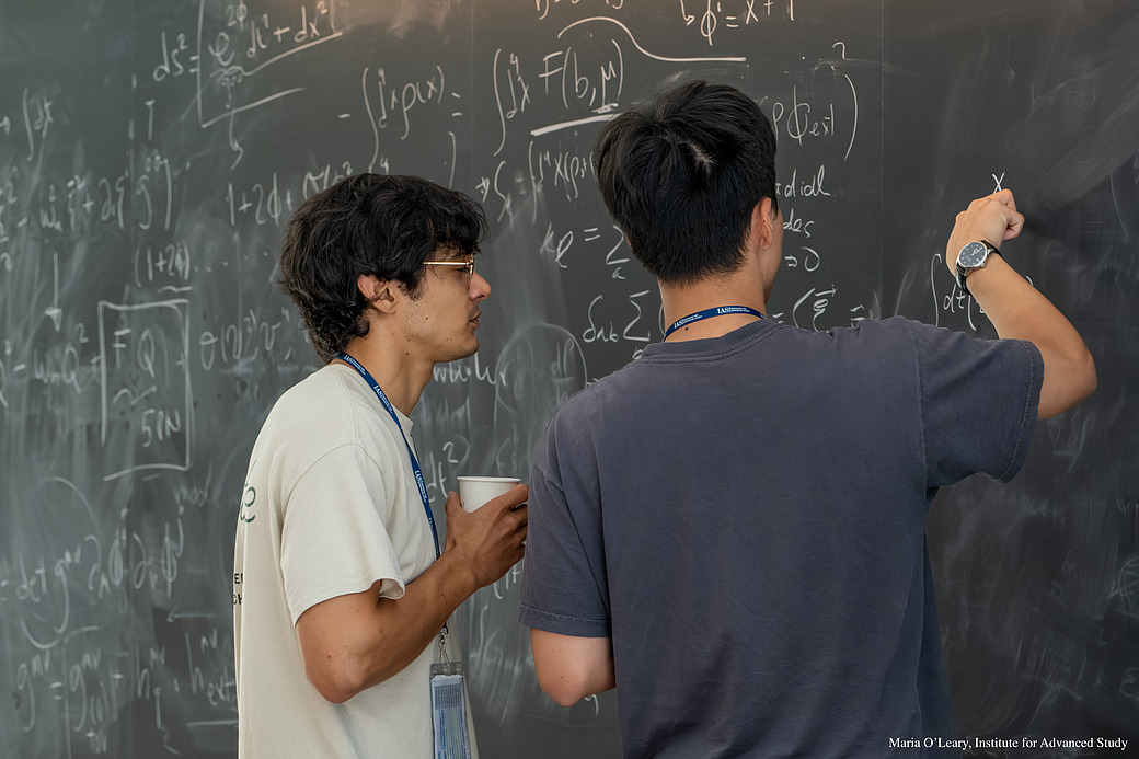 PiTP 2025 Participants