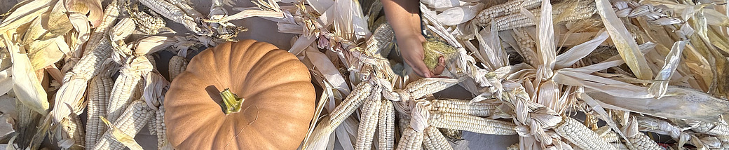 2025 Munsee Symposium Banner. gathering of cornhusks and pumpkin image