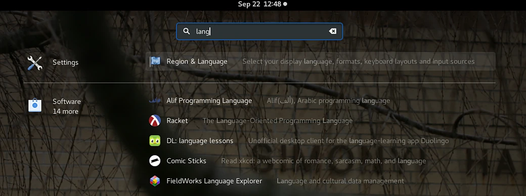 Gnome 3 search