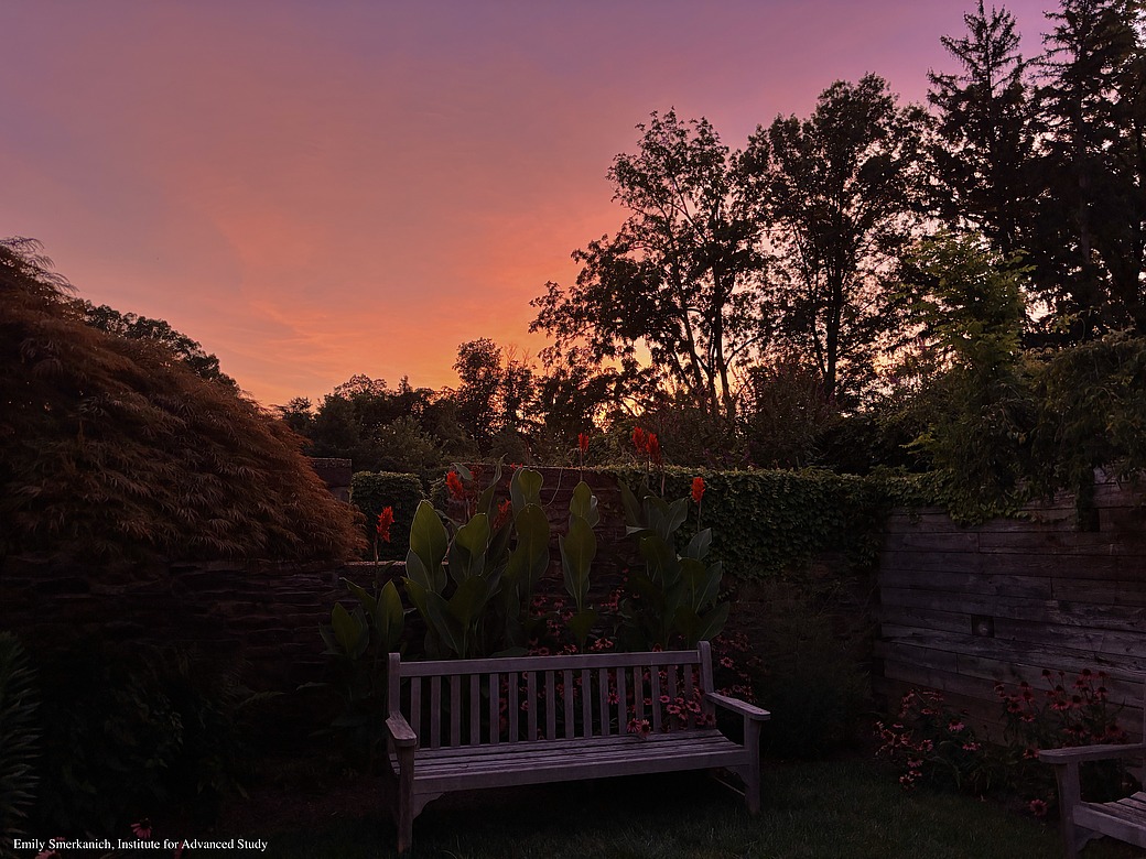 PiTP 2025 Pool/Pizza Party