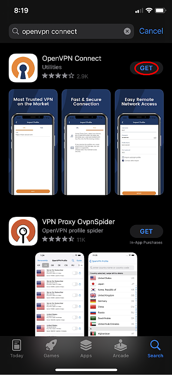 OpenVPN in App Store