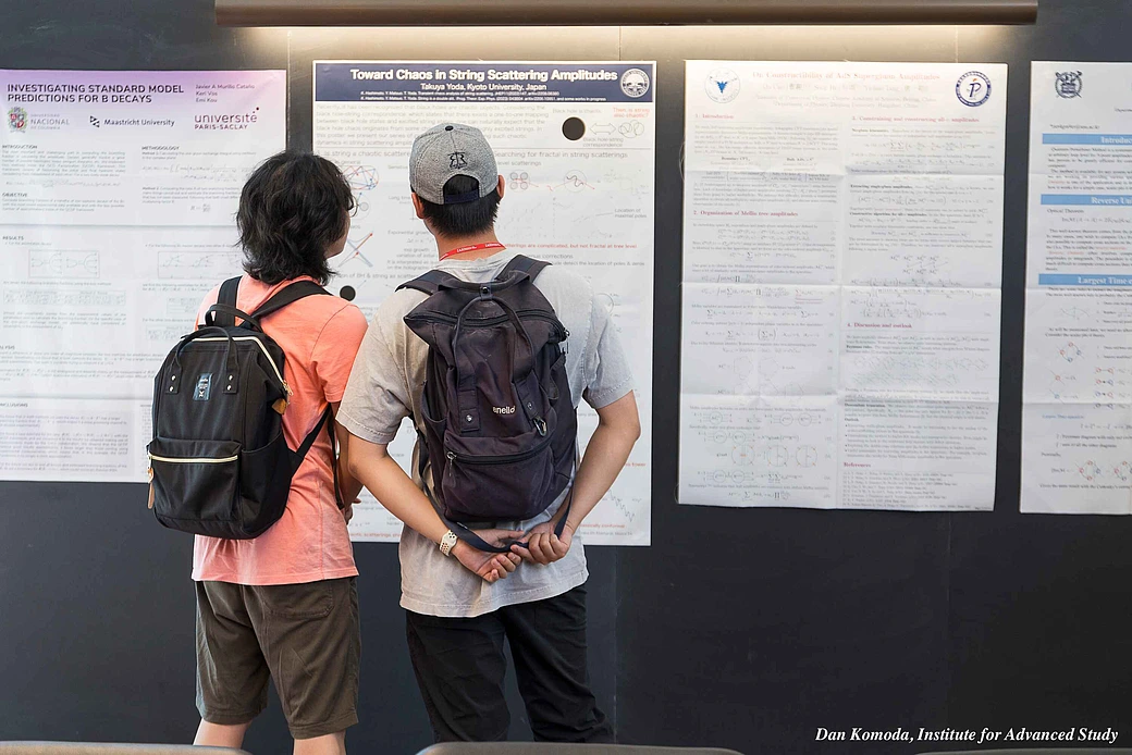 Amplitudes Summer School- Poster Session 2