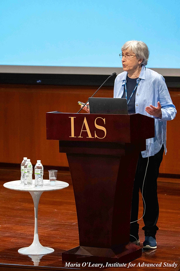 Amplitudes Conference Speakers - Kallosh