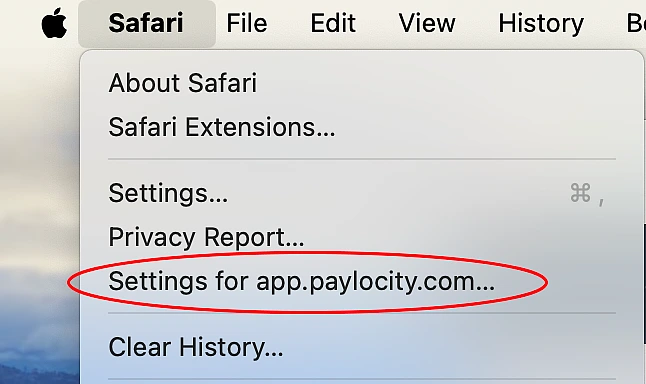 Safari Apple Menu