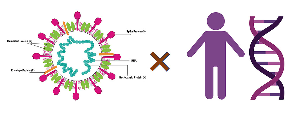 Diagram: Sars-Cov-2 times humans equals Covid-19
